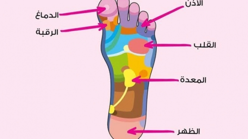 فوائد العلاج الانعكاسي reflexology في الطب البديل