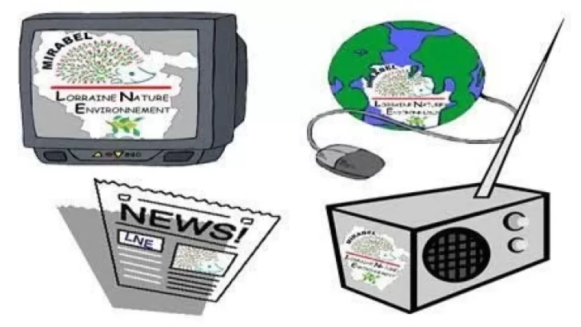 أنواع وسائل الإعلام