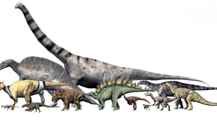 أنواع الديناصورات وطبيعة حياتها على كوكب الأرض