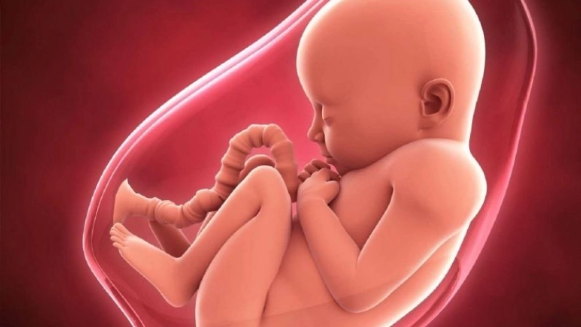 تحديد جنس الجنين بطرق علمية واختيار نوع الجنين قبل الحمل