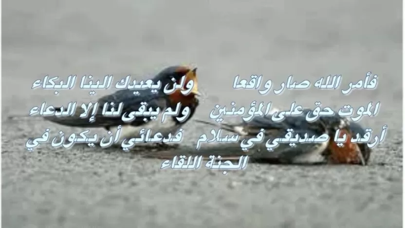 خواطر وشعر عن موت الصديق العزيز وغيابه