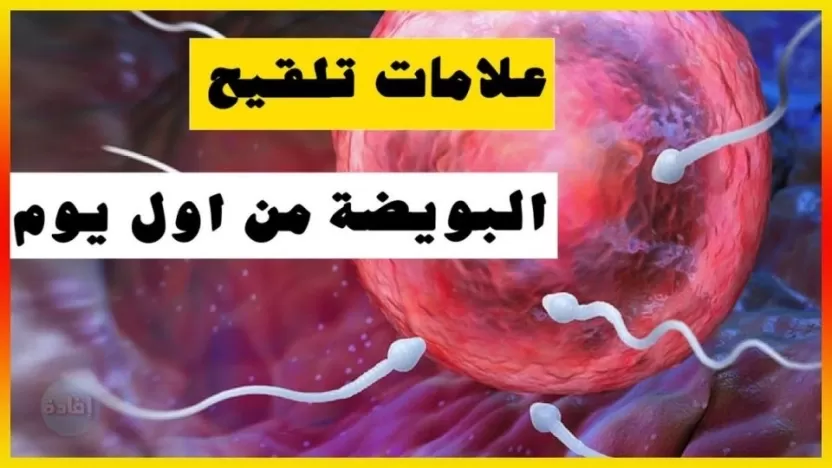 ما هي علامات تلقيح البويضة؟ متى تكون فترة التبويض؟