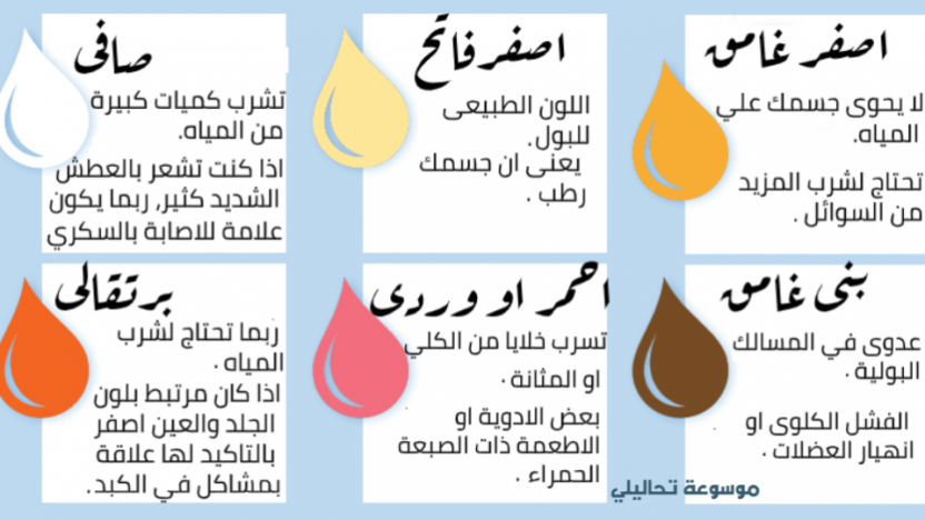 ما هي رموز تحليل البول؟ وما هي دلالة كل رمز؟ ما هي رموز تحليل البول؟ وما هي دلالة كل رمز؟