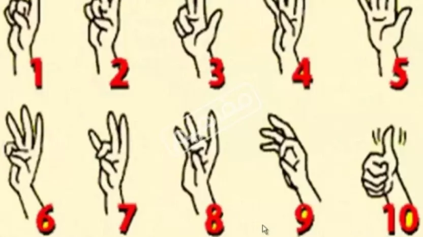 ما هي طرق تعلم لغة الاشارة؟