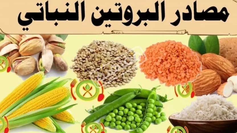 أهم مصادر البروتين الطبيعية