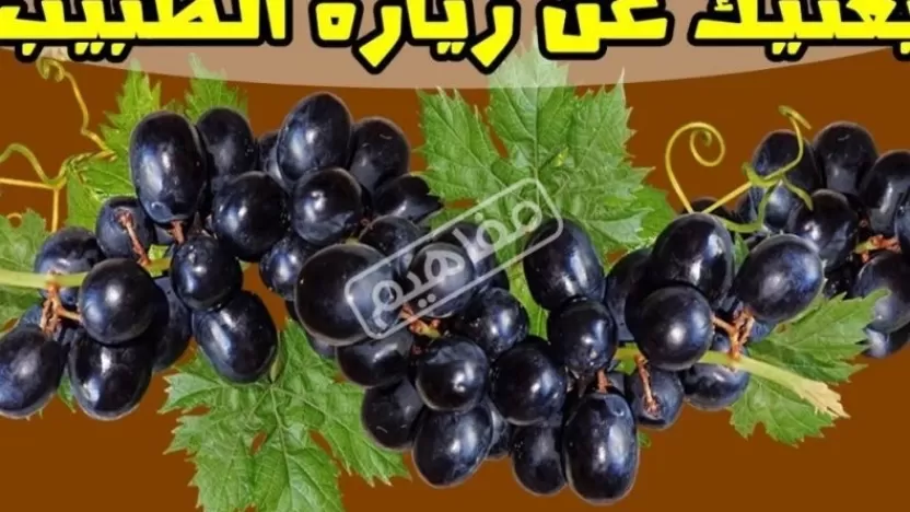 14 فائدة علاجية من فوائد العنب الاسود لصحة الإنسان