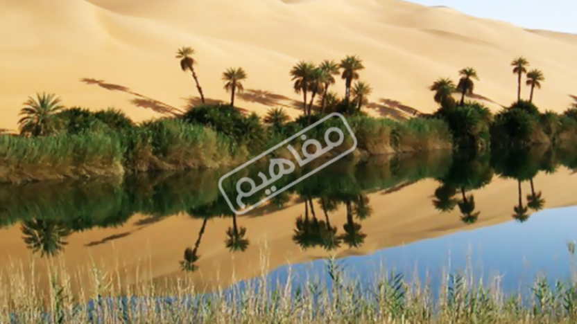 الواحات البحرية.. اكتشف سحر الطبيعة في مصر الواحات البحرية.. اكتشف سحر الطبيعة في مصر
