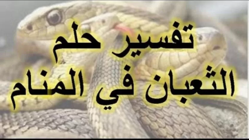 رؤية جلد الثعبان في المنام للمتزوجة