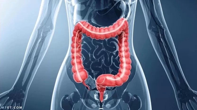 أهم أسباب وجود الدم في البراز وتشخيصه وطرق علاجه