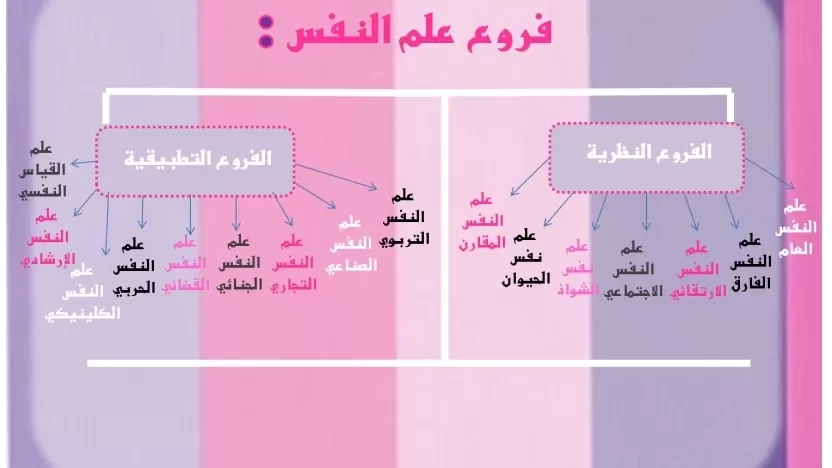 ما هو علم النفس الارتقائي وما نظرية علم النفس الارتقائي وأهمية هذا العلم