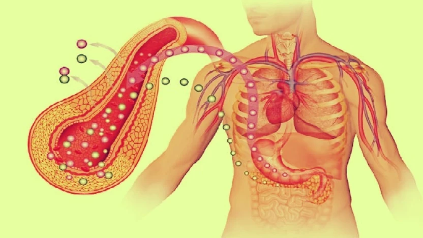 وظيفة الأنسولين في الجسم وأهم علامات نقصه