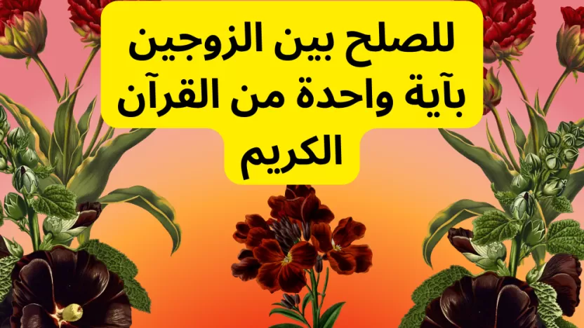 دعاء تسخير الزوج وحل المشاكل والقضاء عليها نهائيا