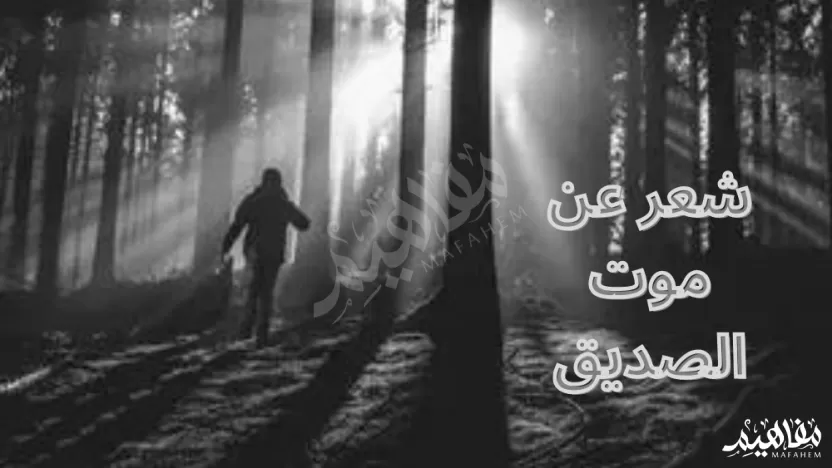 شعر عن فراق الصديق الميت