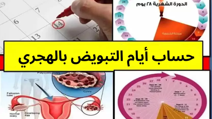 حساب أيام التبويض بالهجري بعد الدورة الشهرية