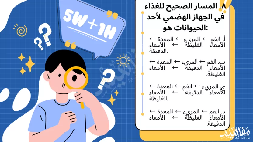 اختر الإجابة الصحيحة المسار الصحيح للغذاء في الجهاز الهضمي لأحد الحيوانات هو؟