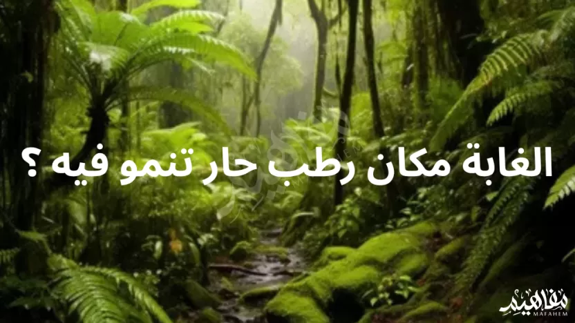 الغابة مكان رطب حار تنمو فيه الغابة مكان رطب حار تنمو فيه