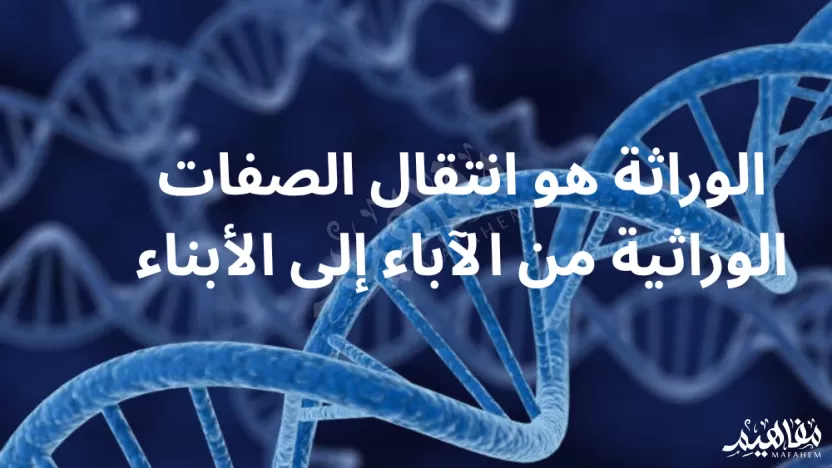 انتقال الصفات الوراثية من الآباء إلى الأبناء