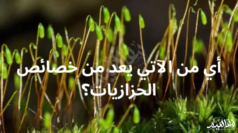 أي من الآتي يعد من خصائص الحزازيات؟ أي من الآتي يعد من خصائص الحزازيات؟