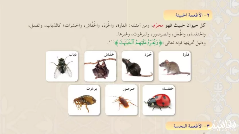 كل حيوان خبيث فهو محرم ومن أمثلته مايلي؟