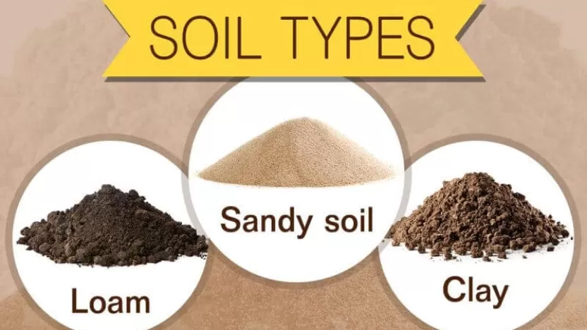 أكثر أنواع التربة قدرة على الاحتفاظ بالماء الرملية. الطينية. الغرينية.