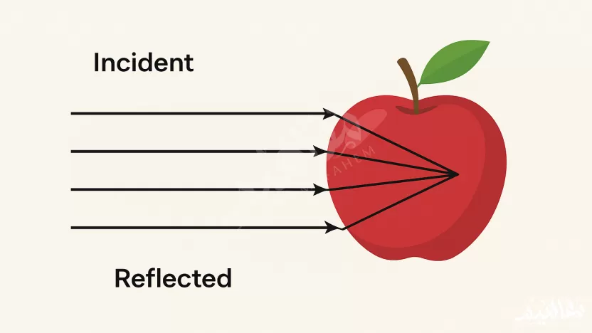 الاشعة المتوازية الساقطة على التفاحة تنعكس متوازية