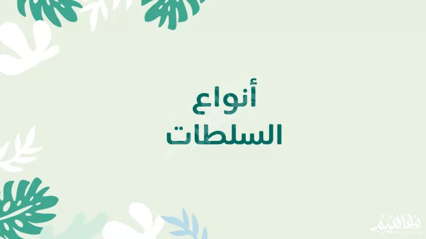 أنواع السلطات