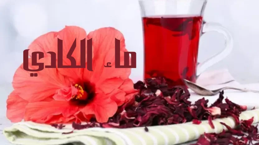 ما هو ماء الكادي: فوائده، استخداماته في الطبخ، وأضراره المحتملة