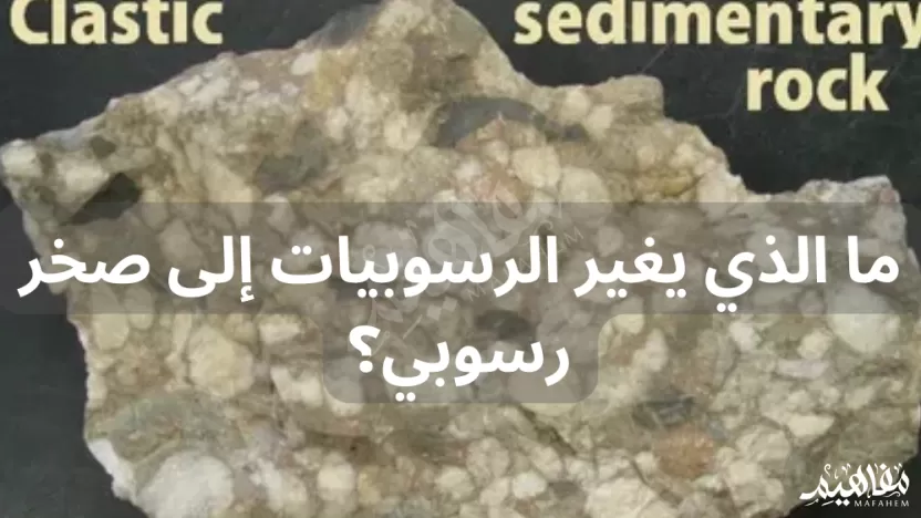 ما الذي يغير الرسوبيات إلى صخر رسوبي؟