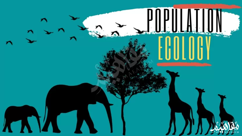 كلما قل حجم الجماعة زاد التنافس على المصادر