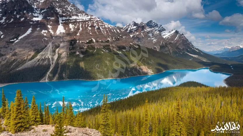 اي جبل يفصل بين اوروبا واسيا؟ اي جبل يفصل بين اوروبا واسيا؟