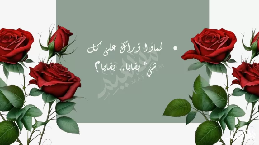 شرح قصيدة لماذا أراك على كل شيء.. فاروق جويدة