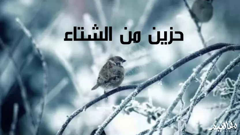 شرح قصيدة مساعد الرشيدي حزين من الشتاء كلمات شرح قصيدة مساعد الرشيدي حزين من الشتاء كلمات