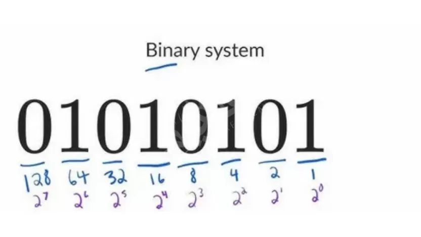 اللغة الوحيده التي يفهمها جهاز الحاسب هي