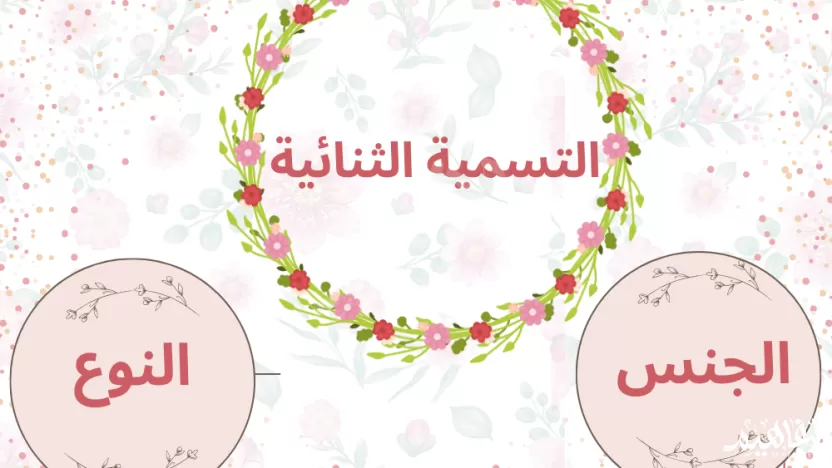 أي مستويات التنظيم يعتمد عليه نظام التسمية الثنائية