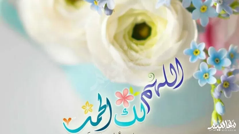 حقيقة شكر الله على الجوارح أن نستعملها في حقيقة شكر الله على الجوارح أن نستعملها في