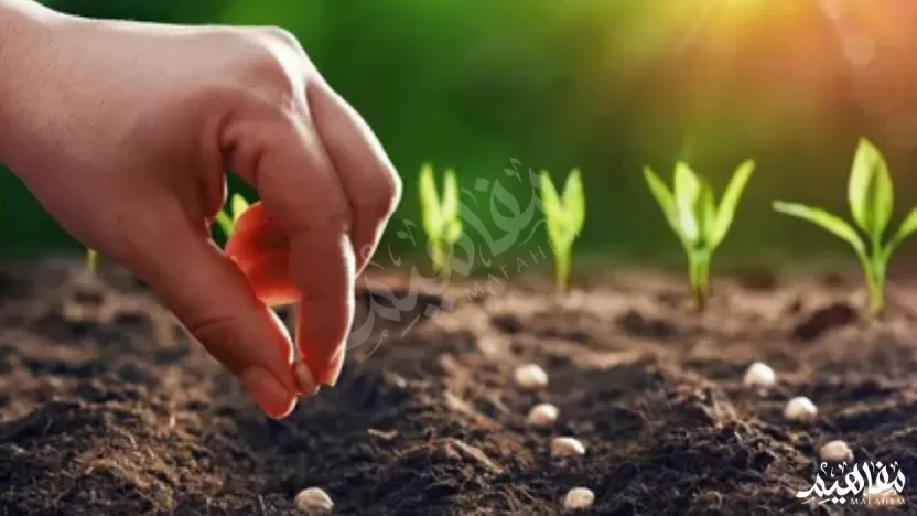 معظم النباتات التي نعرفها عبارة عن نباتات بذرية