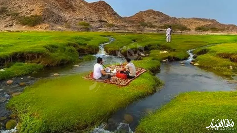 من أشهر أودية وادي حنيفة، ووادي الرُّمة، ووادي بيشة، ووادي الحَمض، ووادي السَّهباء، ووادي تثليث من أشهر أودية وادي حنيفة، ووادي الرُّمة، ووادي بيشة، ووادي الحَمض، ووادي السَّهباء، ووادي تثليث