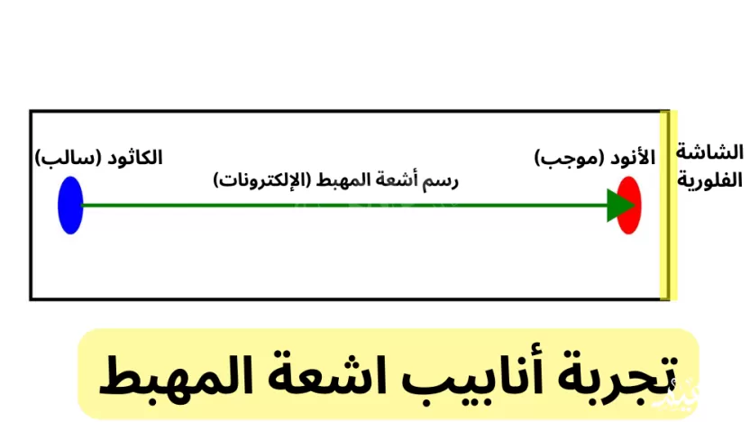 تجربة أنابيب اشعة المهبط ساهمت باكتشاف طومسون لجسيم سالب الشحنة يتحرك حول النواة تجربة أنابيب اشعة المهبط ساهمت باكتشاف طومسون لجسيم سالب الشحنة يتحرك حول النواة