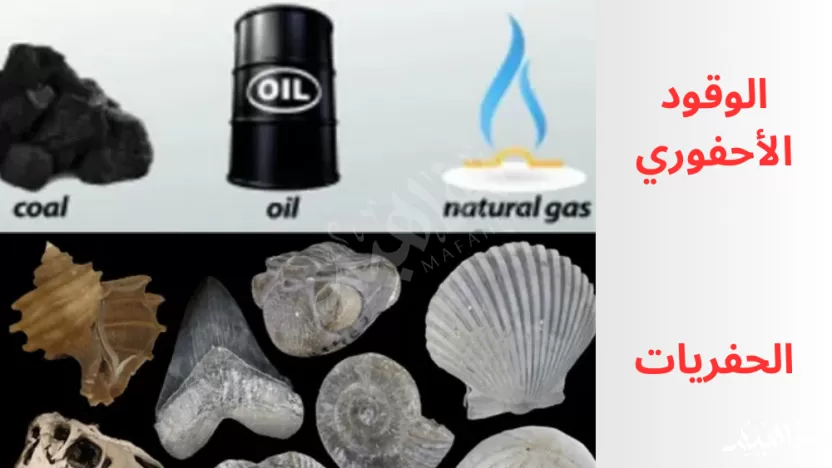 تختلف الأحافير عن الوقود الأحفوري في أنها عبارة عن