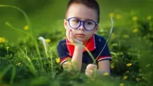 أعشاب و نباتات طبية غير مناسبة للأطفال