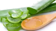 فوائد استعمال الالوفيرا في التجميل