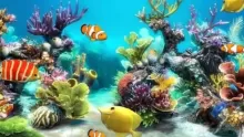 ما هي أنواع الحيوانات البحرية وأسمائها