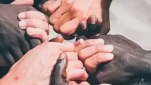 أهم معلومات عن العنصرية وأشكالها