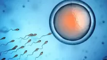 كيف تكون عملية طفل الانابيب؟