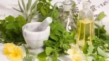 الأعشاب والنباتات الطبية ودورها العلاجي
