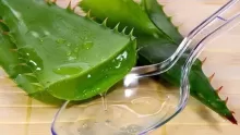 فوائد الصبار في الطب النبوي