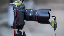 أبرز أنواع فن التصوير
