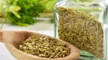 فوائد عشبة الشمر