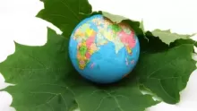 ما هي عناصر البيئة؟ وأهمية المحافظة عليها؟