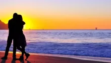 هل الحب قدر مكتوب أم قرار اختياري؟